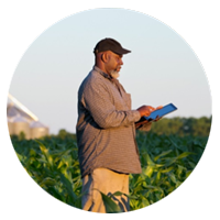 Image représentant un homme qui marche à l’extérieur dans un champ de maïs et travaille sur une tablette